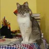Отзыв от Карина Самойлова